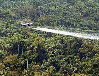 Aerial anti-coca spraying