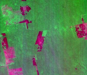 Images from CCD/CBERS-2B include views of Amazonian deforestation and regrowth