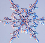 snowflake thumb