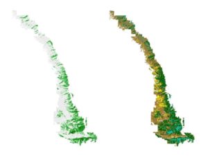 Caption: Map outputs depicting continuous percent canopy cover (PCC) of spruce (left) and species distribution based on maximum canopy cover likelihood for each focal species in the study area (right). Image Credit: Colorado Agriculture Team