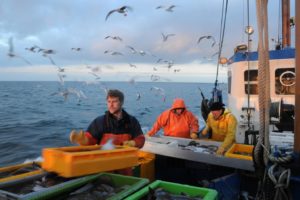 Fishing in the Baltic Sea. Image Credit: Maike Nicolai, GEOMAR Helmholtz Centre for Ocean Research Kiel, Germany 