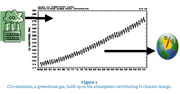 Graph showing Carbon dioxide emissions growing.