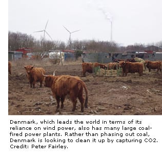 Image of livestock in front of wind farms.