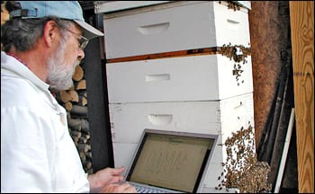 Image of Wayne Esaias, a NASA scientist, recording the weight of his beehives.