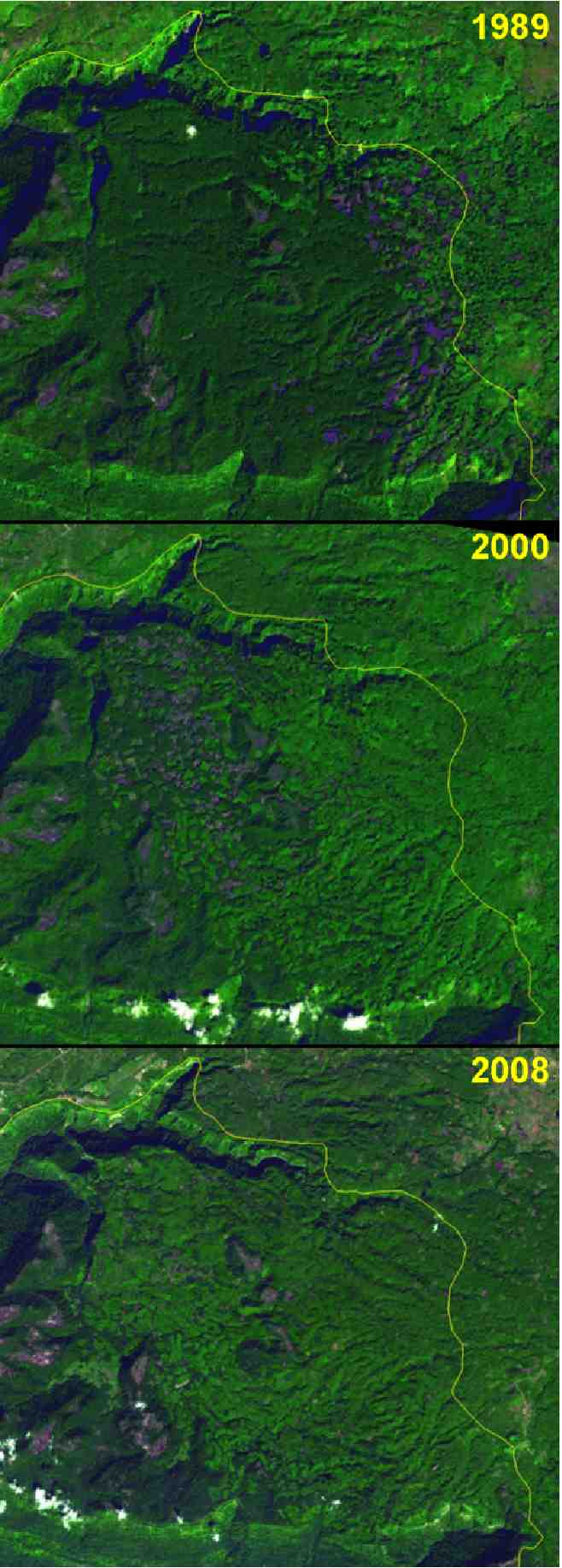 Figure 1. The Bolavan plateau in the Dong Hua Sao reserved forest of southern Lao PDR. In the top image from 1989 the dark green area is intact forest. The lighter green area outside of the park boundary, and the patches inside the boundary, are agriculture, primarily coffee. In the middle image from 2000 the patches of agriculture have extended across nearly the entire plateau, roughly 100 square km in area. The December, 2008 image shows how the area between the patches has filled in.
