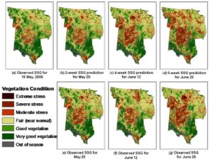 Figure 7. The standardized seasonal greenness patterns observed from satellite (a) is presented for May 15, 2006, over a 15-state region of the central United States. Maps (b) to (d) show the predicted SSG patterns in the 2-, 4-, and 6-week Vegetation Outlook (VegOut) maps calculated on May 15. Maps (e) to (g) present the SSG patterns observed from satellite for the dates corresponding to the three Vegetation Outlooks, respectively.