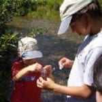 Cropped image of children sampling water