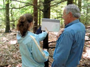 A Forest Watch student and Barry Rock chart the health of white pines