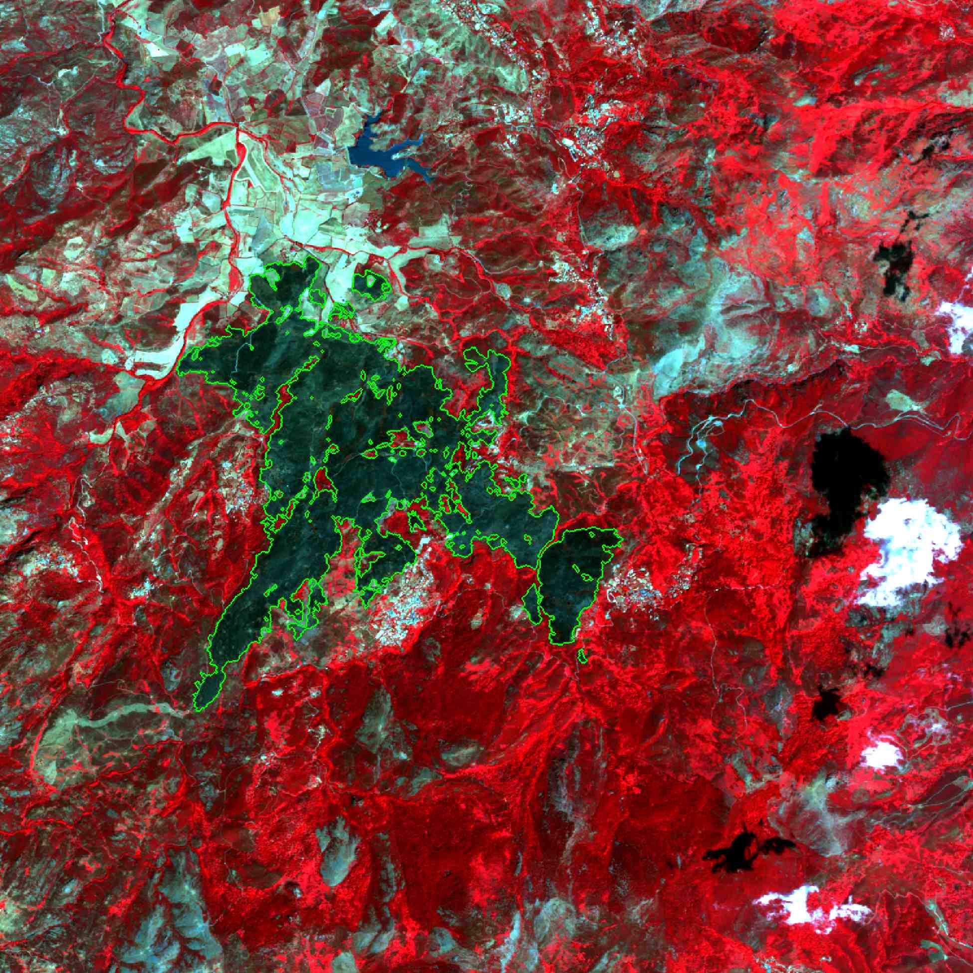 Burnt area detection after a forest fire in 2005 in Corsica, France (about 1000 hectares) SPOT 5 Image å© CNES 2005, Distribution SPOT Image. Extracted boundaries å© INRIA Sophia Antipolis - ARIANA