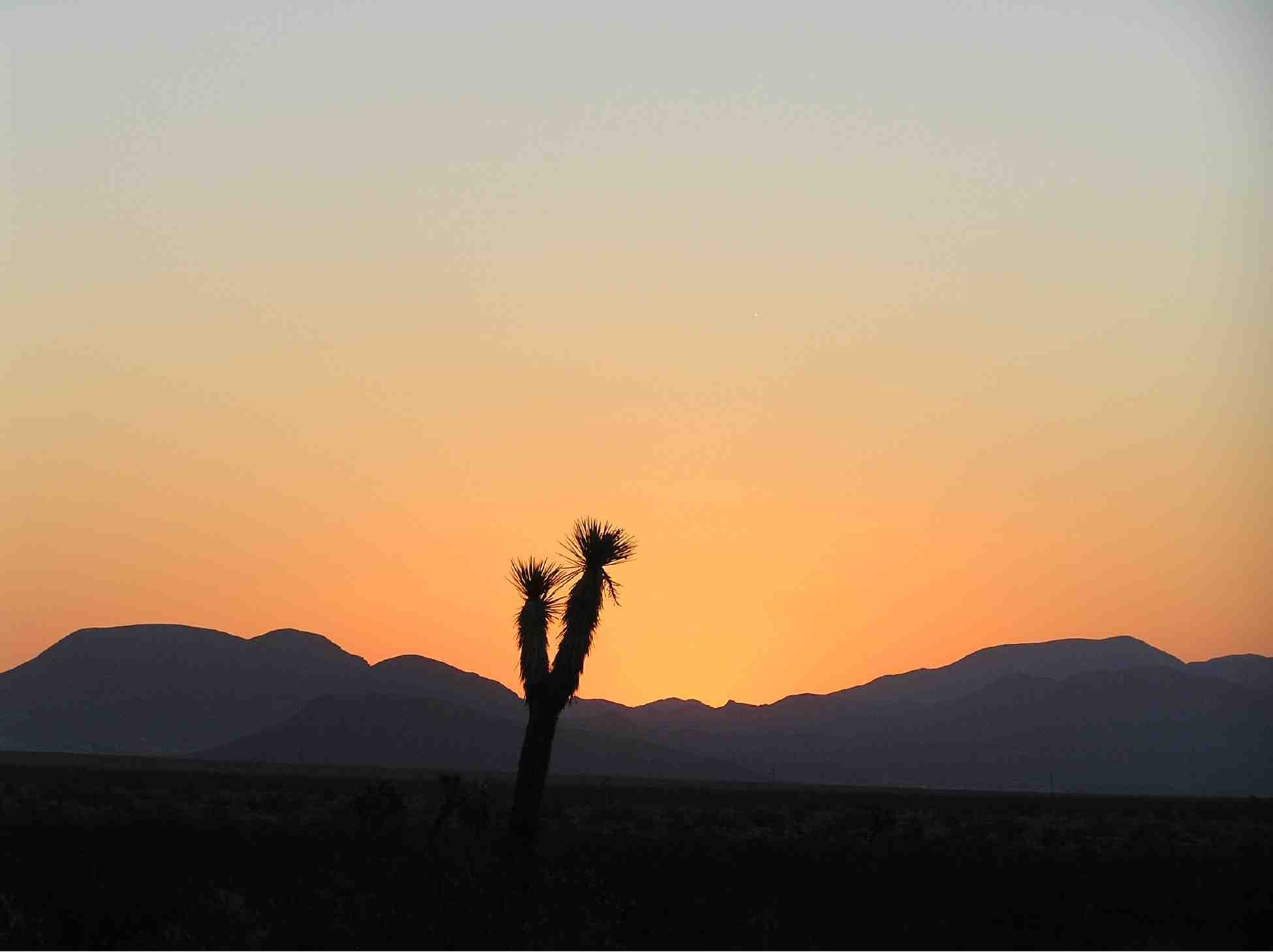 Answer: The following serene Mojave Desert scene in California, USA. Photo: Joseph Kerski