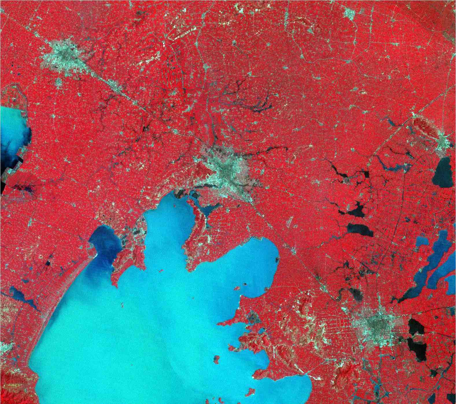 Satellite image of Shanghai China 1984