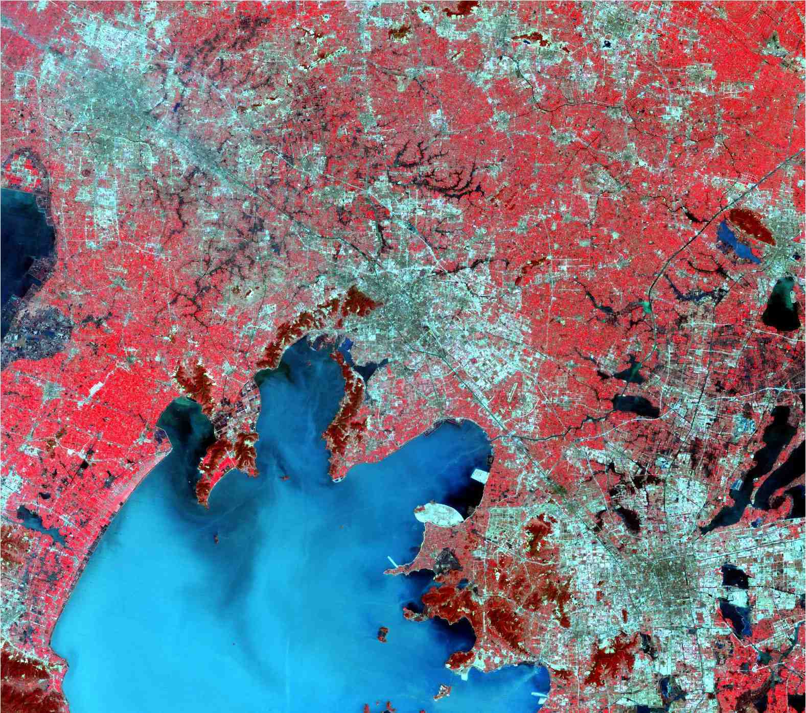 Satellite image of Shanghai China 2005