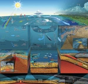 Figure 1 captures a small fraction of this complexity, which is constantly driven by energy from above and below. Deeper understanding of this ÛÏglobal life-support systemÛ requires entirely novel research approaches that will allow broad spectrum, interactive ocean processes to be studied simultaneously and interactively by many scientists—approaches that enable continuous in situ examination of linkages among many processes in a coherent time and space framework. Implementing these powerful new approaches is both the challenge and the vision of next-generation ocean science. Two primary energy sources powerfully influence the ocean basins: sunlight and its radiant energy, and internal heat with its convective and conductive input. Understanding the complexity of the oceans requires documenting and quantifying—in a well-defined time-space framework over decades—myriad processes that are constantly changing and interacting with one another. Illustration designed by John Delaney and Mark Stoermer; created by the Center for Environmental Visualization (CEV) for the NEPTUNE Program.