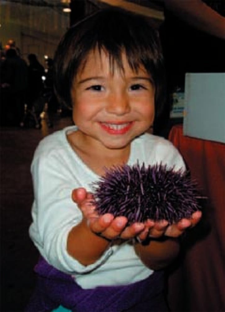 Image of a little girl holding a sea urchin.