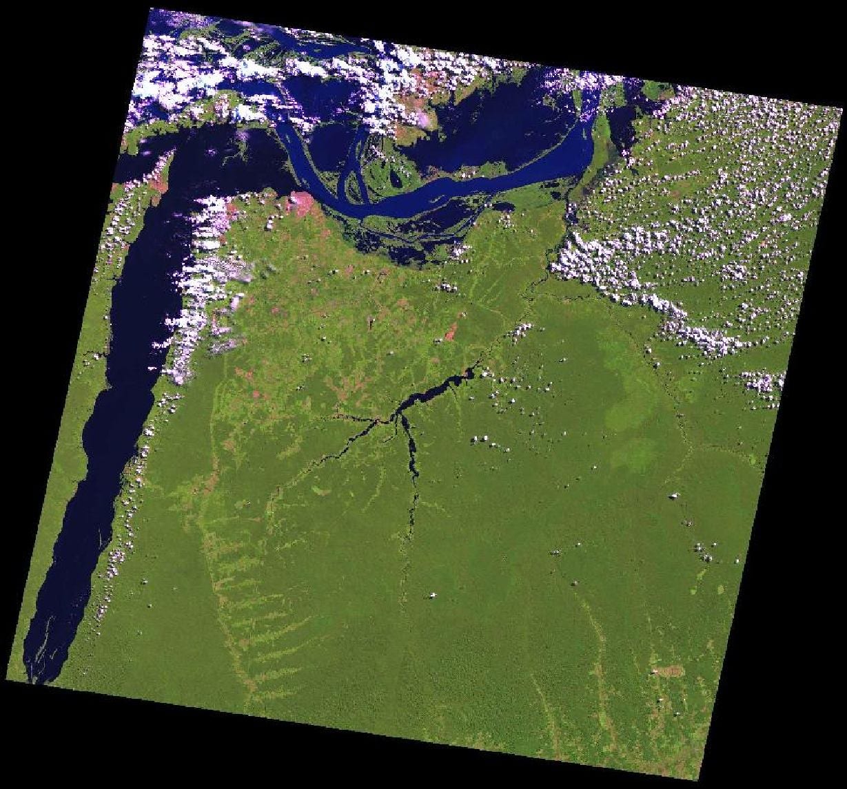 Figure 4. Example Forest  Carbon Tracking Initiative image available through U.S. Geological Survey's EarthExplorer web site. Image details: Entity ID: