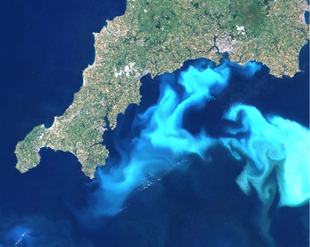 An algae bloom off the southern coast of England in 1999 as observed from satellite. (Wikipedia)