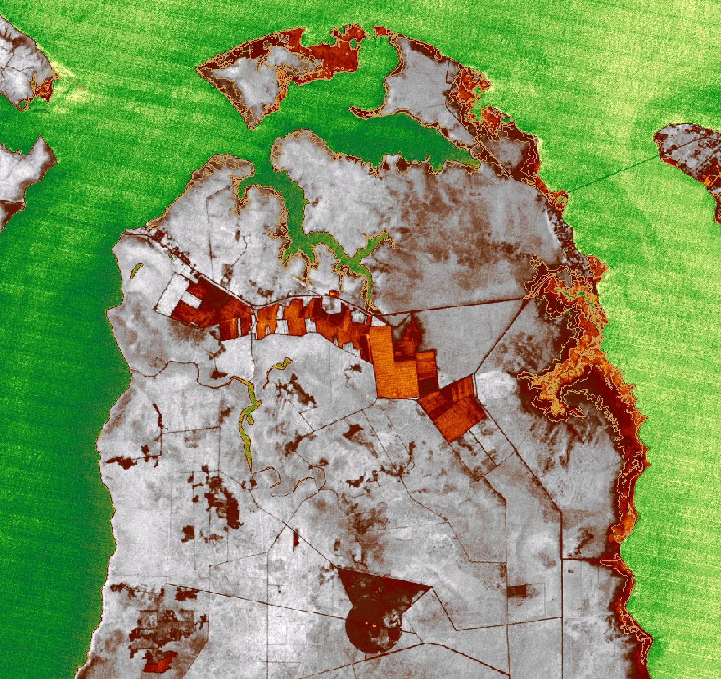 A NDVI image of part of Dare County showing distinct difference of wetlands from surrounding units.  