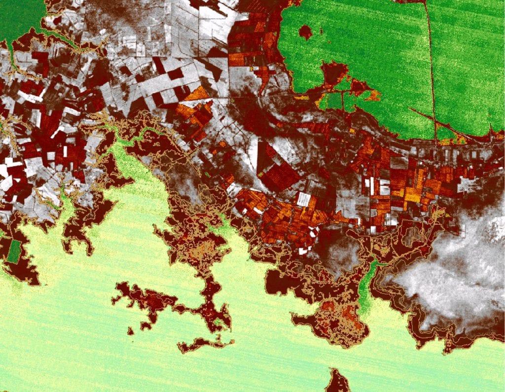 Normalized Digitized Vegetation Index image for portion of Tyrrell County showing green color as least vegetated; grey as greatest, red colors indicate intermediate levels of chlorophyll and Gold-colored outlines show NCDCM locations of wetlands.