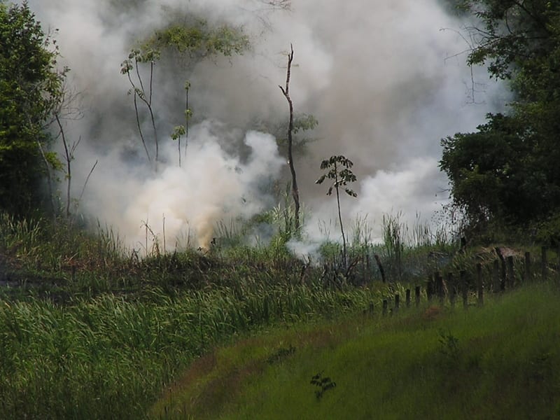 Fire and smoke in the Amazon