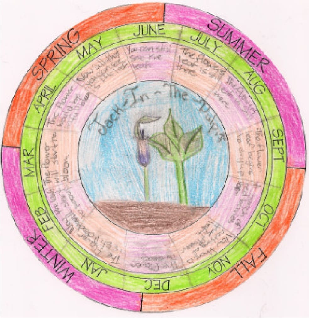 Phenology Wheel. Courtesy Anne Forbes.