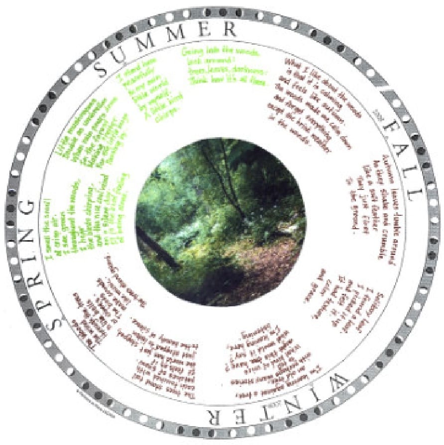 Phenology wheel. Courtesy Anne Forbes.