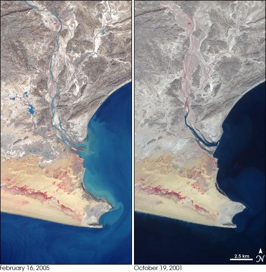A pair of images of the Pasni area from February 16, 2005, and October 19, 2001, reveals some of the effects of recent, devastating flooding in southern Pakistan along the coast of the Arabian Sea. In these images, water appears dark blue (nearly black in places) to light blue, depending on the how much sediment is in the water. Vegetation is red, and the desert appears in shades of light brown and brownish yellow. The city of Pasni is located at the tip of the peninsula.