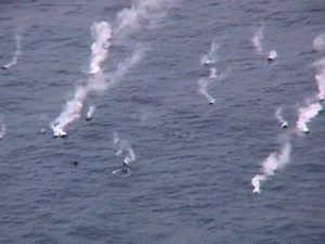 Image of the Serreta submarine eruption (photo taken in January, 1999).
