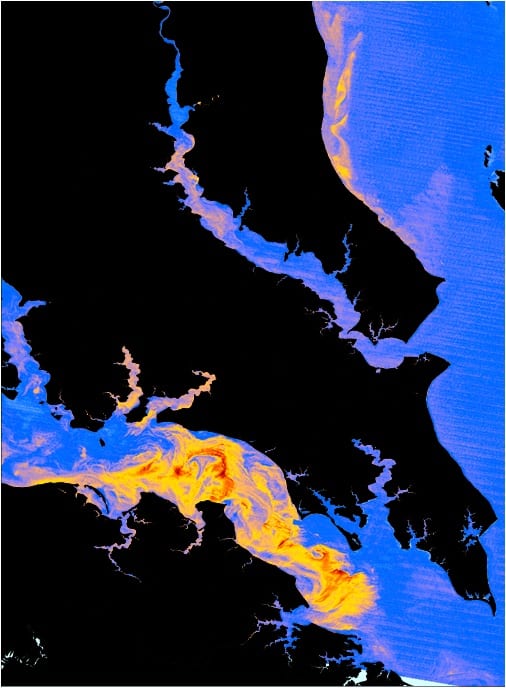 Normalized difference vegetation index (NDVI) image of an algal bloom in the Potomac River during May 2000, from the NASA and USGS Landsat 4-5 Thematic Mapper (TM) satellites.