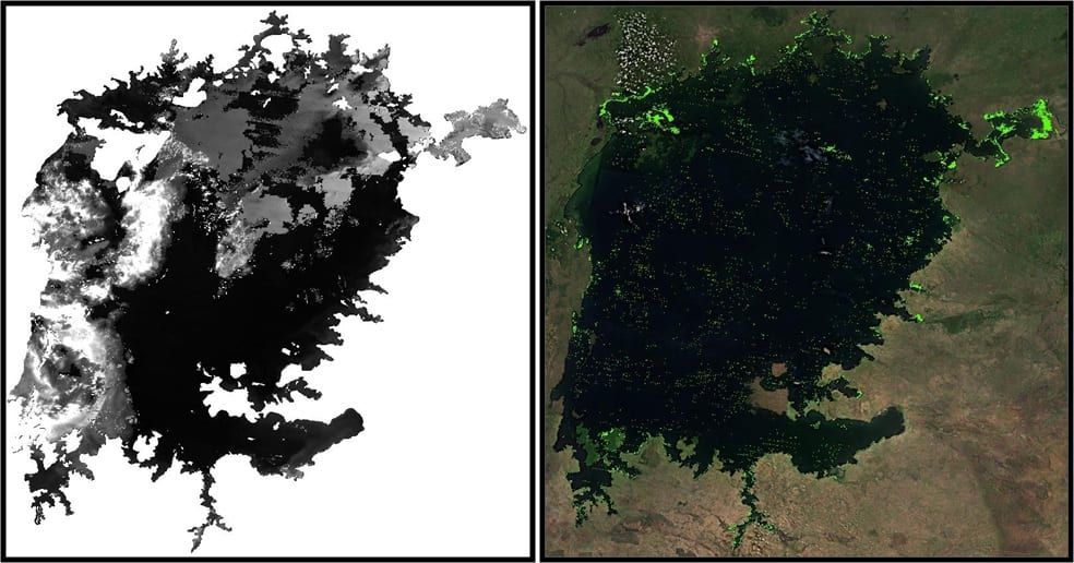 Moderate Resolution Imaging Spectroradiometer (MODIS) imagery depicting Lake Victoria normalized difference vegetation index (NDVI) extraction before (left) and after (right). The left shows an unprocessed satellite image, while the NDVI image is shown on the right, depicting aquatic vegetation in green. Bright green areas indicate dense aquatic vegetation. Source: USGS.