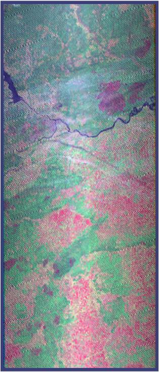 A burn scar image over the Nizhny Novgorod region in western Russia taken on Oct. 8, 2010. Areas in red denote burned land area. This image was generated by compositing bands 7, 4, and 2 of NASA and USGS Landsat 7 Enhanced Thematic Mapper+ data.