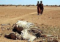 Horn of Africa Drought. Image Source: UNICEF.