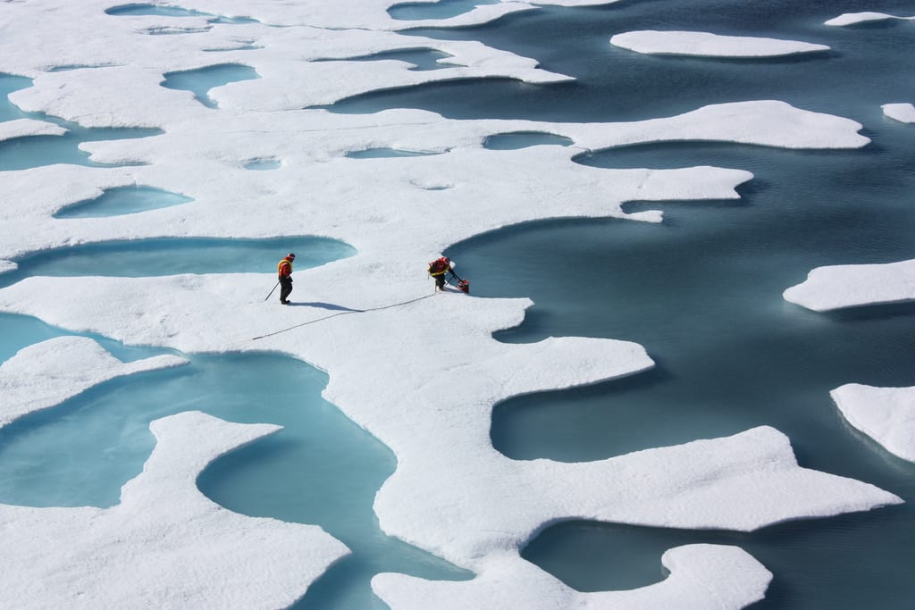 The sea ice atop the Arctic Ocean can—as shown in this photograph from July 12, 2011—look more like Swiss cheese or a bright coastal wetland. Image source: 