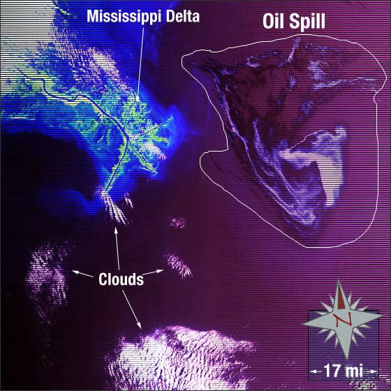 LandSat image of the Deepwater horizon oil spill