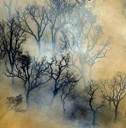 Smoke billows from burned trees. Photograph: CRISTINA QUICKLER/AFP/Getty Images