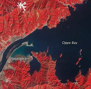satellite image of the Kitakami river. Credit NASA