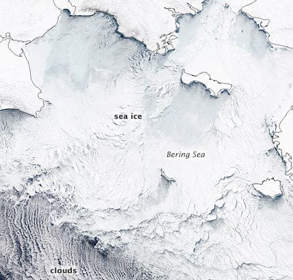 Satellite image of the Bering Strait chock full of ice. Credit NASA