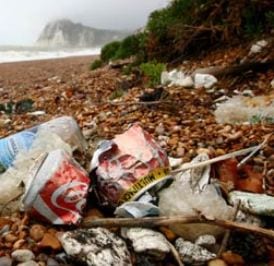 Rubbish left on a beach in Dover, Kent. Despite an increase in poop-scoop bags on British beaches, overall shore litter dropped by 11% between 2010 and 2011. Photograph: Gareth Fuller/PA