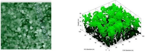 Figure 5: Use of airborne LiDAR in French Guiana. Left: Canopy height model of a terra firme forest (D. Sabatier unpubl. report). Right: 3D LiDAR-based voxel reconstruction of an even-aged mangrove stand