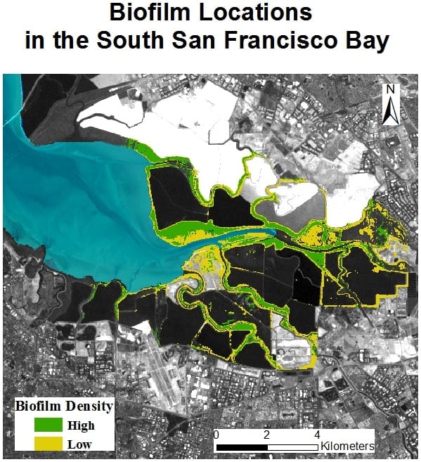 Classification of Hyperion showing biofilm density in the South San Francisco Bay.