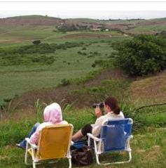 Bird watchers sit waiting for the arrival of barn swallows at a wetland area on the outskirts of Durban.
