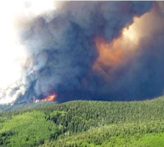 Photo of smoke and fire in New Mexico's Gila National Forest. Credit :US forest service/Reuters