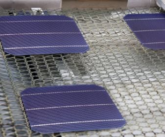 Image of new solar panel. Photo: Suniva