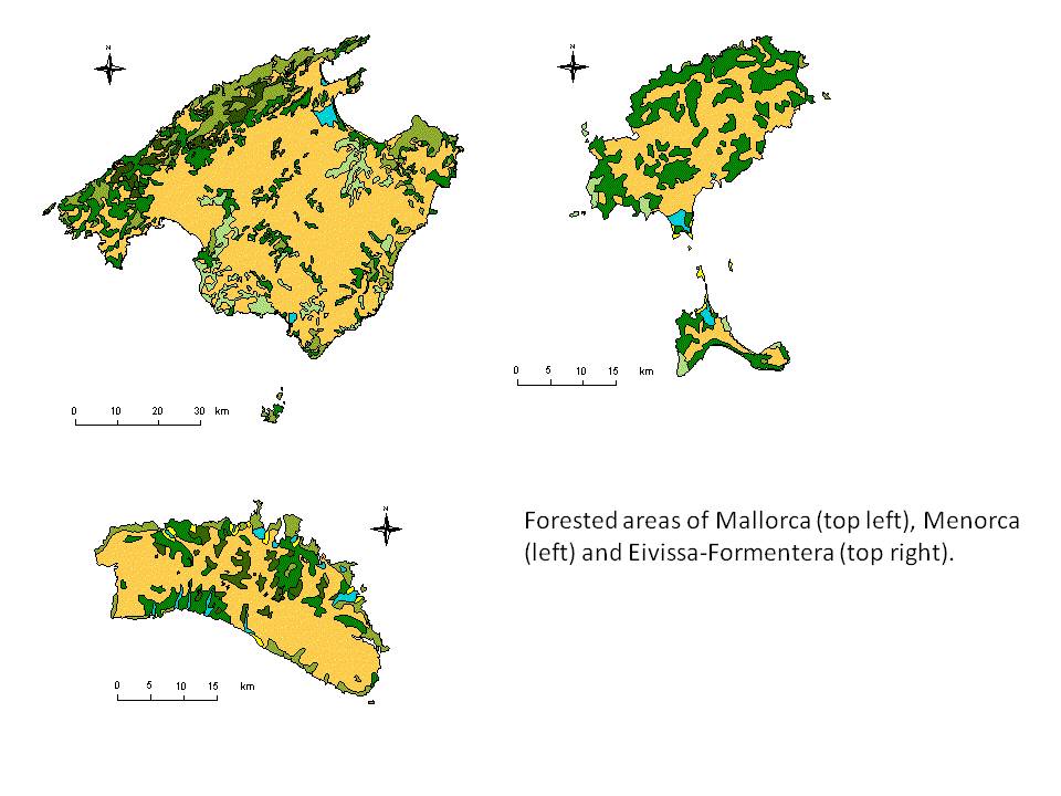 Map of forests in the Balearic Islands, 2006. Source: Conselleria Medi Ambient (2011).