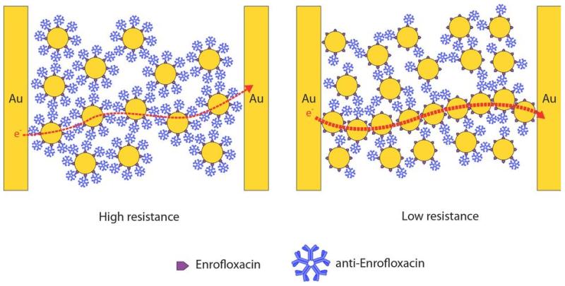 biochemiresistor showing ability to detect enrofloxacin in milk. source: University of New South Wales 