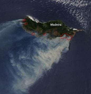 Satellite image of Madeira wildfires. Credit: NASA Earth OBsevatory