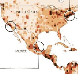 Cropped image of a map showing epidemics in the past years. Credit: NY Times.