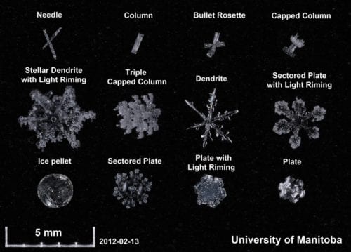 Image of different types of snow flakesImage Source: University of Manitoba, ground instruments.