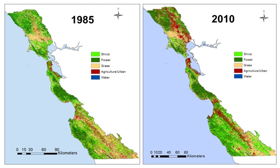 Vegetation classification of the 1985 image (left) and 2010 image (right).