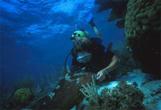 Photo of a scuba diver from the USEPA gathering data near the US Virgin Islands