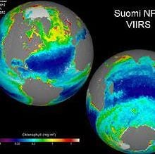 These two images are season-long composites of ocean chlorophyll concentrations derived from visible radiometric measurements made by the VIIRS instrument on Suomi NPP. The date ranges of the two composites are included in the individual images. These false-colored images make the data stand out. The purple and blue colors represent lower chlorophyll concentrations. The oranges and reds represent higher chlorophyll concentrations. These differences in color indicate areas with lesser or greater phytoplankton biomass. Credit: NASA/Suomi NPP/Norman Kuring.